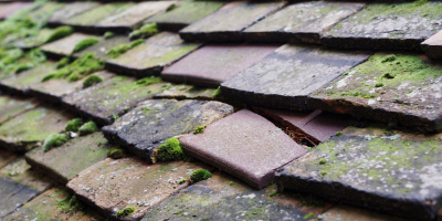 Llanrhyddlad roof repair costs